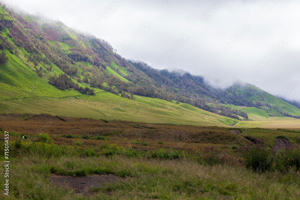 Fototapeta premium Landscape of green hills in the mountains on a cloudy day. Location of Mount Bromo in Bromo Tengger Semeru National Park, East Java, Indonesia