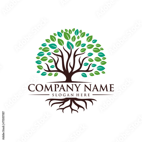 Abstract vector vibrant tree logo design, root vector illustration