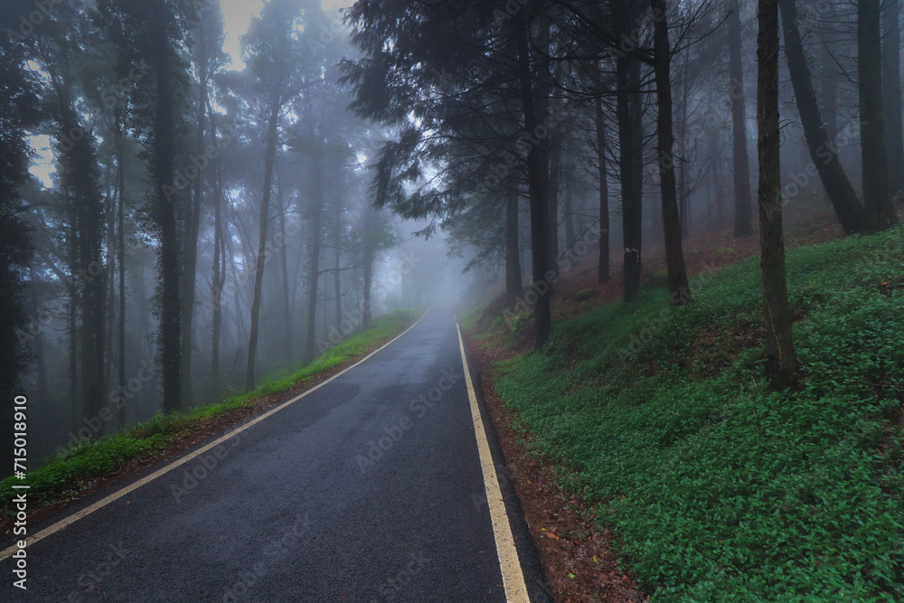 Empty asphalt road in foggy forest Empty asphalt road in foggy forest