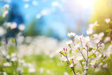 Spring blooming landscape with blurred bokeh effect in the background. Natural scenery of the sun's morning rays. Blur style.