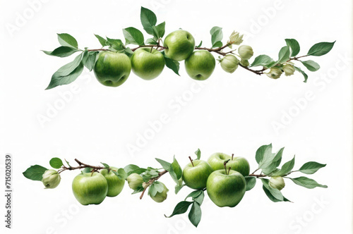 Wallpaper Mural green apple banner with branches leaves isolated on white background Torontodigital.ca