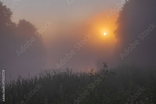sunrise in the fog © Александр Арендарь