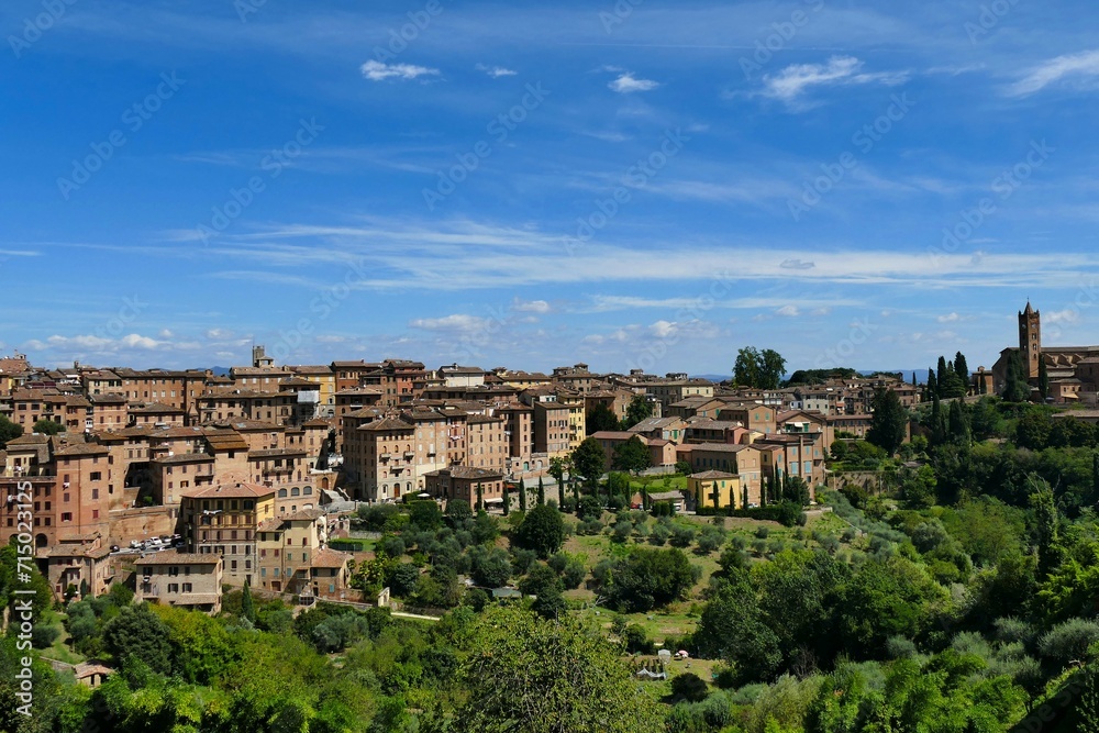 Vue panoramique sur la ville de Sienne