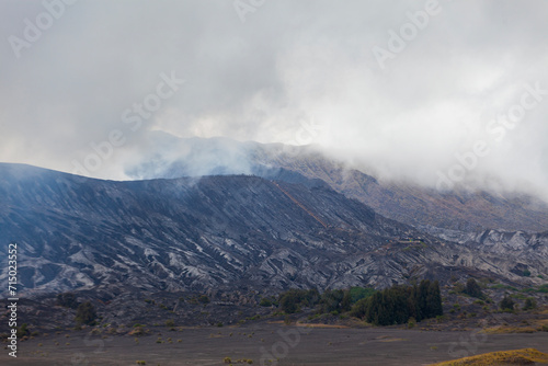 Volcanic landscape in the crater of Mount Bromo  Java  Indonesia