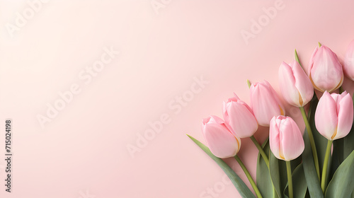 wallpaper  beautiful bouquet of pink tulips flowers on light pastel rose background - the background offers lots of space for text 