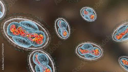 Dynamic 3D animation featuring Variola viruses, the causative agent of smallpox disease. photo