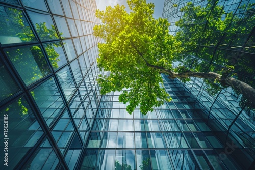 Eco-friendly building in the modern city. Sustainable glass office building with tree for reducing heat and carbon dioxide. Office building with green environment. Corporate building reduce CO2