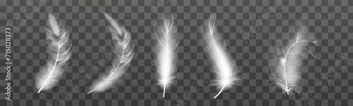 Set of realistic vector goose or swan feathers of various shapes. Ecological feather filler for pillows, blankets or jackets.Vector concept design,line art.