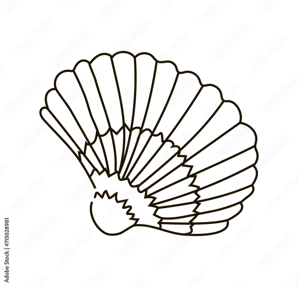 Shell drawn in doodle style. Nautical illustration. Shell drawn by line. Vector illustration isolated on white background Shell drawn in doodle style. Nautical illustration. Shell drawn by line. Vector illustration isolated on white background