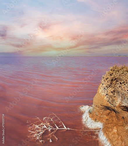 Pink salty Syvash Lake, Ukraine