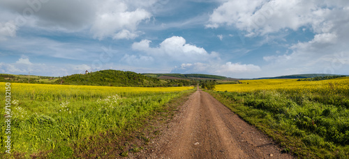 Spring countryside view with dirty road  rapeseed yellow blooming fields  village  hills. Ukraine  Lviv Region.