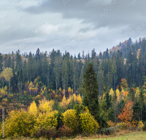 Cloudy and foggy autumn mountain scene. Peaceful picturesque traveling, seasonal, nature and countryside beauty concept scene.