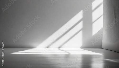 empty room bathed in ethereal white light  casting gentle shadows on pristine floor  capturing tranquility and simplicity