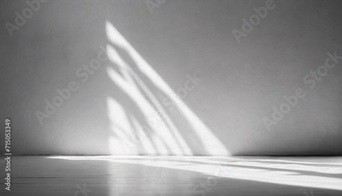 empty room bathed in ethereal white light  casting gentle shadows on pristine floor  capturing tranquility and simplicity