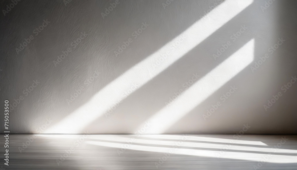 empty room bathed in ethereal white light, casting gentle shadows on pristine floor, capturing tranquility and simplicity empty room bathed in ethereal white light, casting gentle shadows on pristine floor, capturing tranquility and simplicity