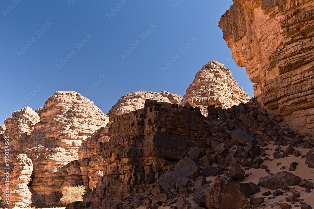 Canyon of Tilelouene and rock formations in the tourist area of Immourouden, near the town of Djanet. Tassili n Ajjer National Park. Sahara desert. Algeria. Africa.