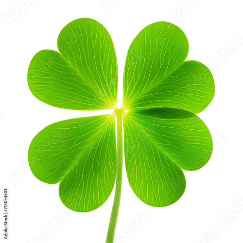 Single four-leaf clover with vibrant green leaves isolated on white