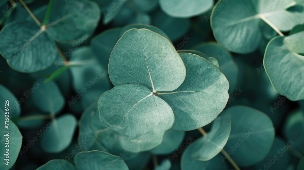 Fototapeta premium A close-up view of a leafy plant with vibrant green leaves. Perfect for nature enthusiasts or as a background image for environmental themes