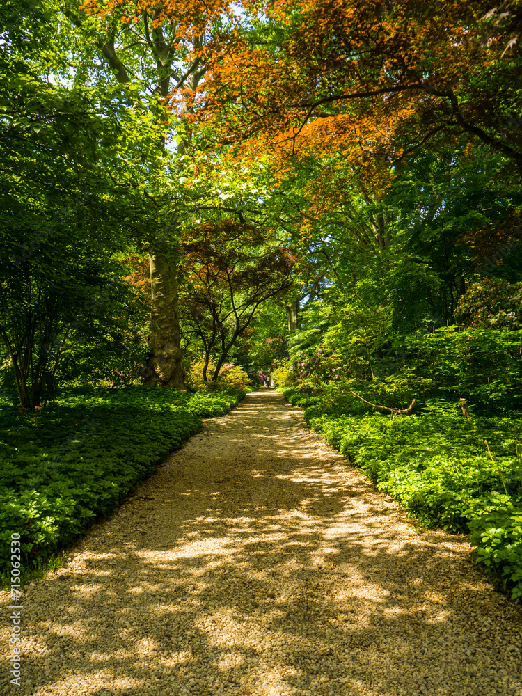 Vertical View of tree lined path with autumn colors at Oyster Bay Planting Fields Long Island