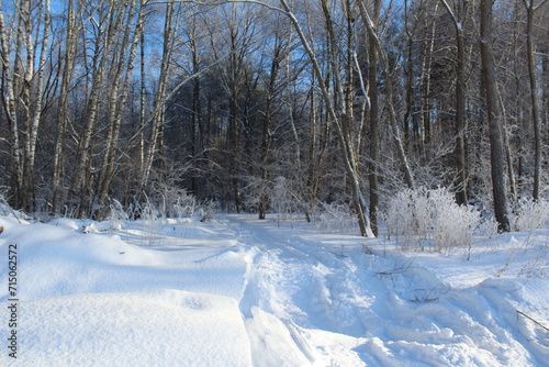 Winter landscape - Snow-covered road in the forest on a sunny day