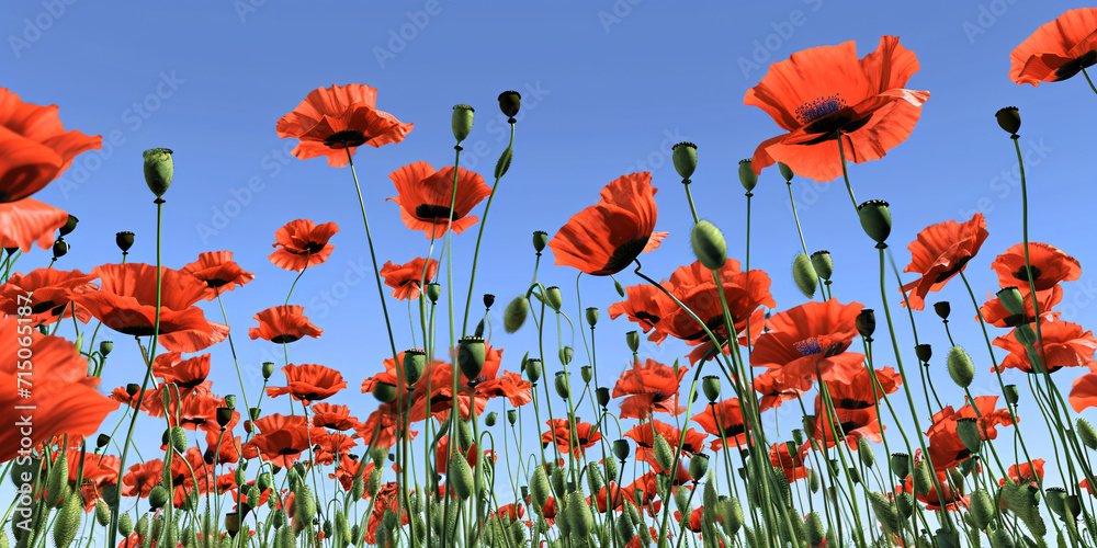 Obraz premium Vibrant field of red poppies against a clear blue sky. Spring and nature concept. Design for environmental themes, springtime event poster, nature conservation promotion 