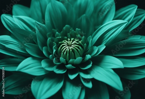 Turquoise Flower Close Up