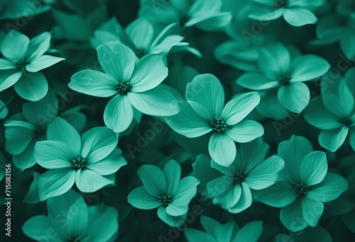 Green and Turquoise Floral Design Background