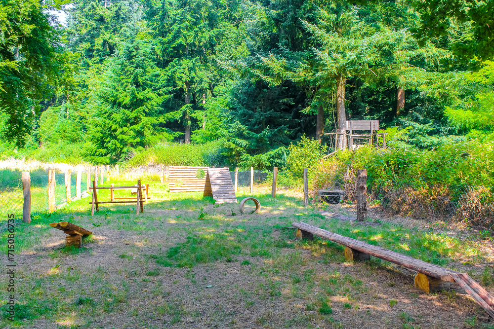 Dog sports field in the forest in Germany. Dog sports field in the forest in Germany.
