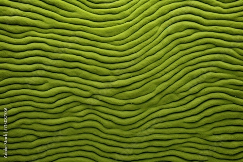 Moss green soft lines, simple graphics, simple details, minimalist 2D carpet texture