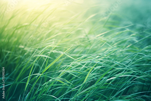Vivid green grass waving in the wind. Nature and environment concept for design and print. Peaceful background with motion blur 