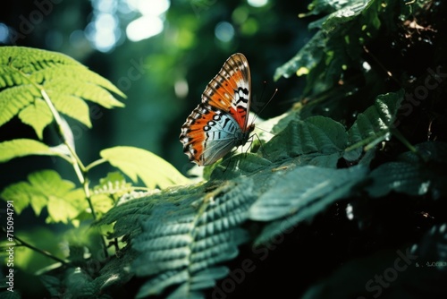  a butterfly sitting on top of a lush green leaf covered forest filled with lots of leafy green plants and leaves.