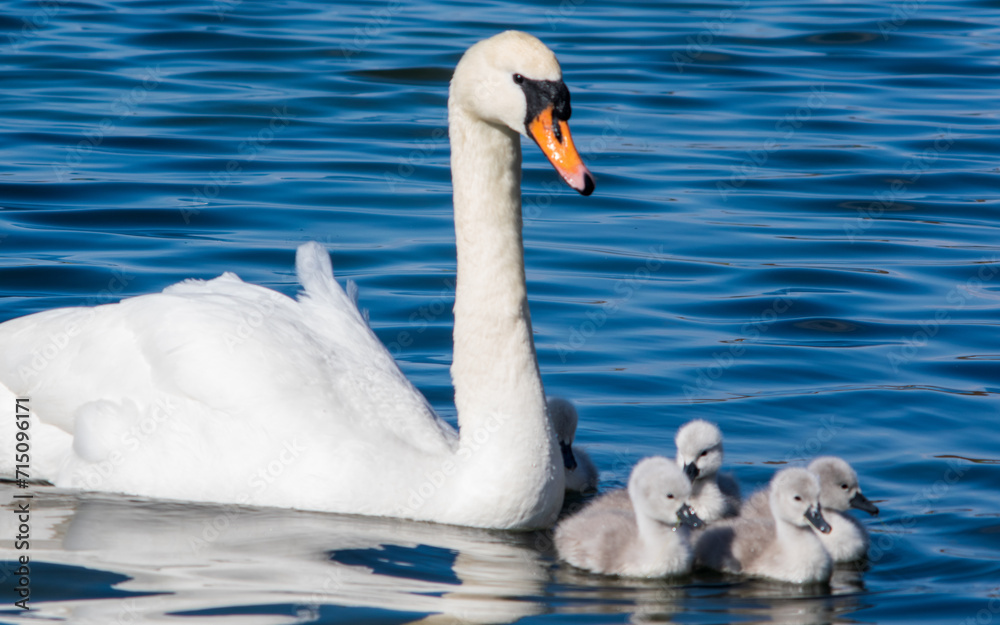 Obraz premium North Wales