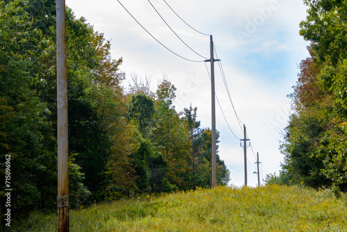 Electric transmission lines on an easement cut through a forest in a rural area photo