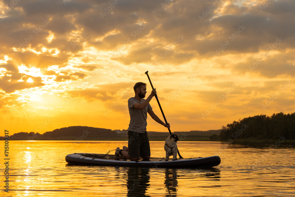 Man paddle boarding at lake during sunset together with pug dog. Concept of active tourism and supping with pets. Brave Dog Standing on SUP Board and enjoy lifestyle on summer petfriendly vacation