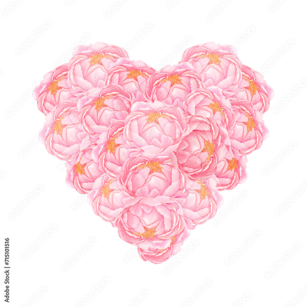 Pink Heart. Watercolour illustration