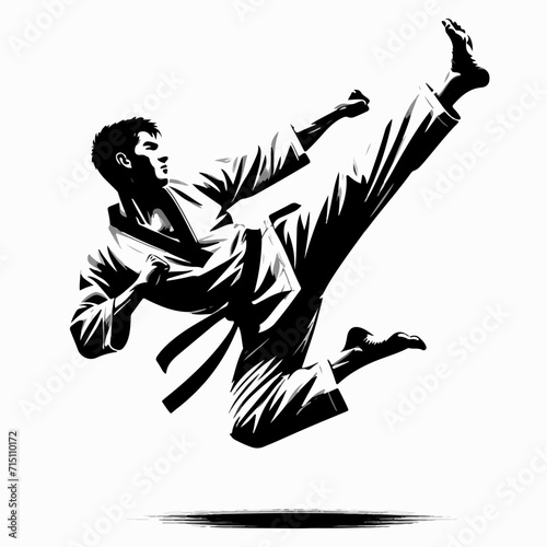 silhouette of a person fighting karate and taekwondo 