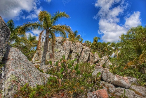 Paisaje