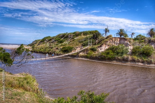 beach with palm trees