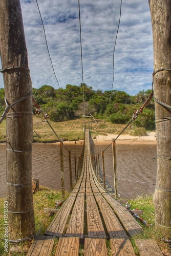 suspension bridge over the river