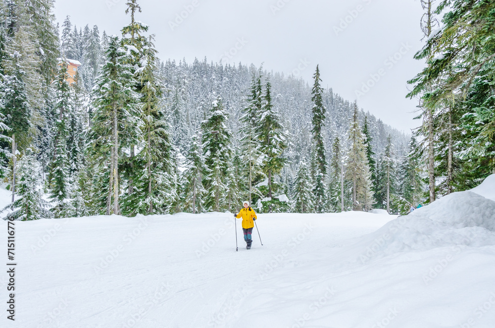 Female on cross-country ski over beautiful winter and snow forest in Vancouver, Canada.