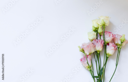 Eustoma on a light background with space for copy. Beautiful pink flowers on green stems, a greeting card, a banner with advertising space