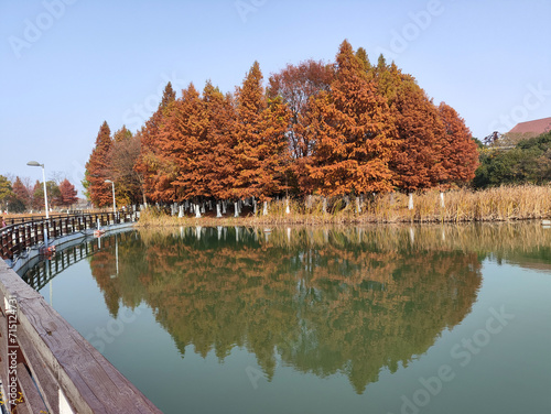 Beautiful view of Bacheng Ecological Wetland Park during autumn session photo