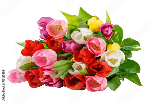 Spring tulips flowers bouquet  romantic greeting gift for birthday or Saint Valentines day holiday. Tulip isolated on white background