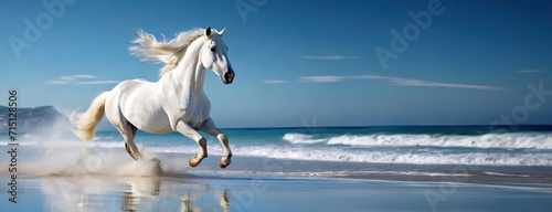 White Stallion Exuding Elegance on Sandy Beach. The pure white stallion runs with its mane flowing in the wind along a sandy beach  its hooves kicking up sand as waves crash in the background