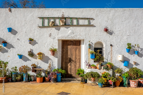 Facade of a traditional house in Vejer de la Frontera, Cadiz, Andalusia, Spain