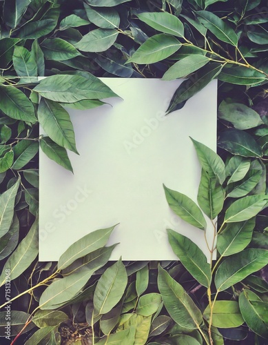 Imagem abstrata de folhas e galhos de árvore como textura estilo arte. Folha quadrada em branca no centro. photo