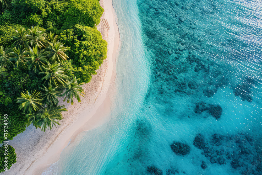 Aerial View of an Island Beach with Lush Greenery and Clear Blue Waters