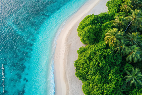 Aerial View of a Secluded Island Beach with Lush Greenery