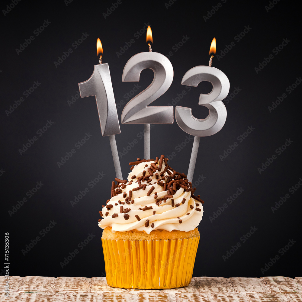birthday cupcake with number 123 candle - Celebration on dark background