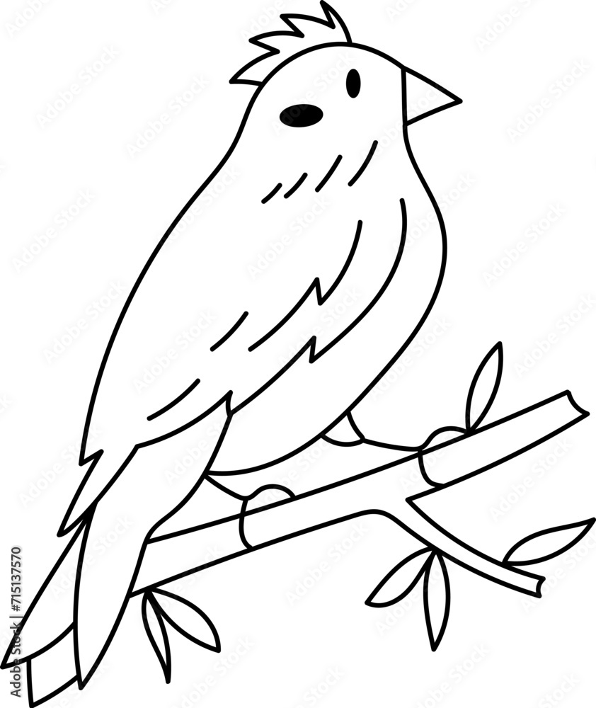 Bird On Branch Doodle